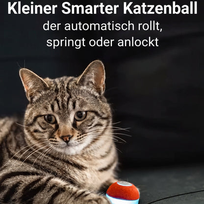 Velomia SmartBall Katze
