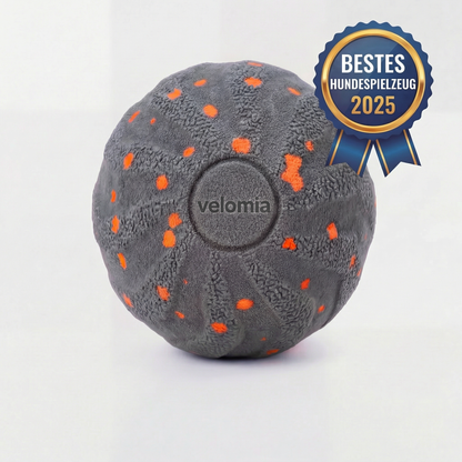 Velomia SmartBall Hund