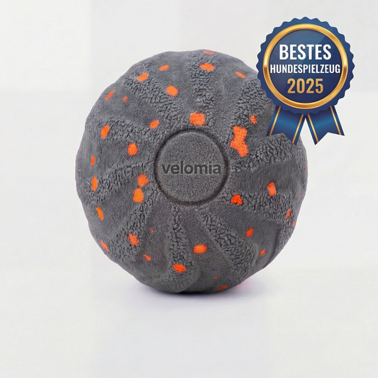 Velomia SmartBall Hund (grau)