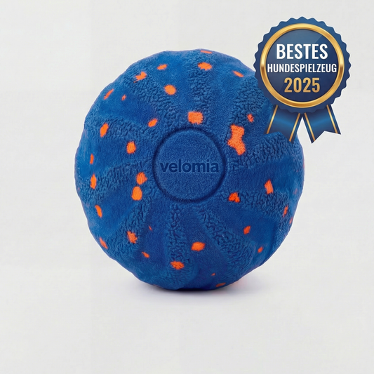 Velomia SmartBall Hund (blau)